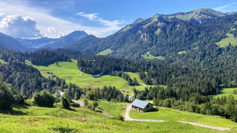 Grüne Berglandschaft im Allgäu